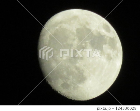 月齢12【十三夜】〜13もうすぐ満月 月齢12【十三夜】〜13もうすぐ満月 124330029