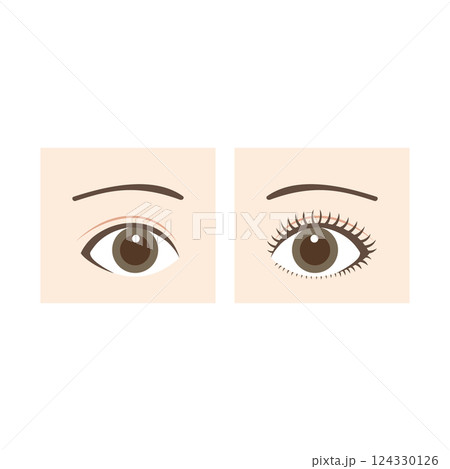 アイメイク前と後の比較 before after 眉毛あり 124330126