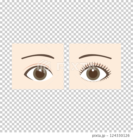 Comparison before and after eye makeup with eyebrows 124330126