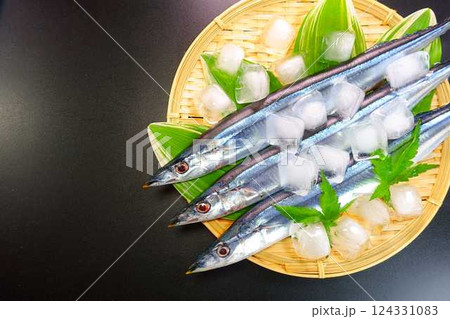 サンマ　秋刀魚　さんま 124331083
