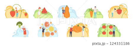 People Characters Harvesting Huge Vegetables and Fruits from Garden Vector Set People Characters Harvesting Huge Vegetables and Fruits from Garden Vector Set 124331186