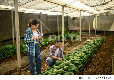 Two farmers working together in a greenhouse, collecting data and observing plant growth Two farmers working together in a greenhouse, collecting data and observing plant growth 124331392