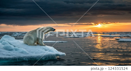 Polar bear sitting on a melting ice floe in a colorful sunset, symbolizing global warming and climate change concept Polar bear sitting on a melting ice floe in a colorful sunset, symbolizing global warming and climate change concept 124331524