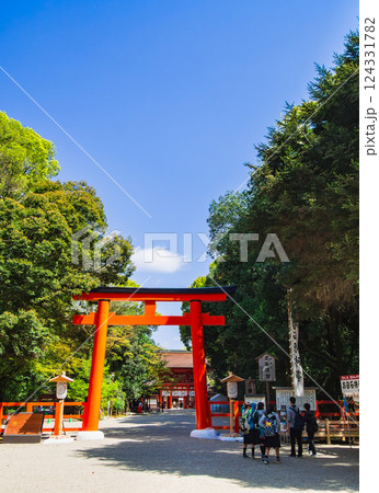 春の京都 下鴨神社 南口鳥居 春の京都 下鴨神社 南口鳥居 124331782