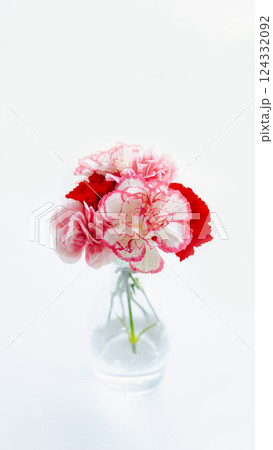 ガラス瓶に挿したおしゃれピンク赤色カーネーション背景素材 母の日イメージ素材 コピースペース コマ ガラス瓶に挿したおしゃれピンク赤色カーネーション背景素材 母の日イメージ素材 コピースペース コマ 124332092