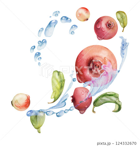 Cranberry lingonberry flying in water splash with green leaves and drops, ripe forest berry bearberry teaberry wintergreen hand drawn in watercolor. Isolated illustration for cafe menu, farmers market 124332670