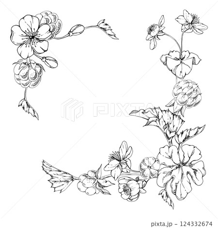 Cloudberry raspberry with white flowers, hand drawn vector ink, ripe Scandinavian forest berry bunch on stems. Isolated botanical garland frame illustration. Restaurant, cafe menu, farmers market Cloudberry raspberry with white flowers, hand drawn vector ink, ripe Scandinavian forest berry bunch on stems. Isolated botanical garland frame illustration. Restaurant, cafe menu, farmers market 124332674
