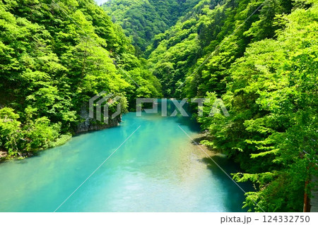 初夏の抱返り渓谷。仙北、秋田、日本。5月下旬 124332750