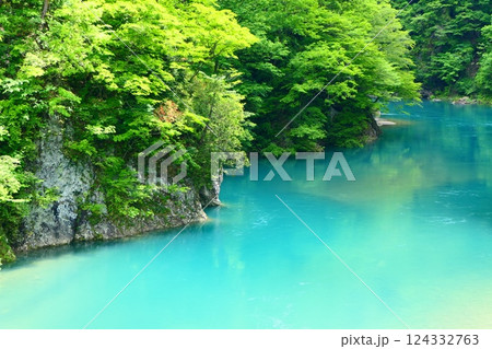初夏の抱返り渓谷。仙北、秋田、日本。5月下旬 124332763