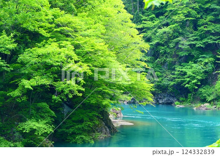 初夏の抱返り渓谷。仙北、秋田、日本。5月下旬 初夏の抱返り渓谷。仙北、秋田、日本。5月下旬 124332839