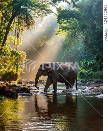 a massive elephant stands at the edge of a crystal-clear river 124332966