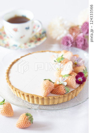 イチゴのムースタルト 124333566