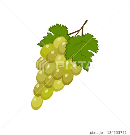 Green currant. Ripe red currant berries with green leaves. A cartoon-style currant. The vector illustration is isolated on a white background 124333731
