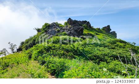 夏の火打山・妙高山登山（妙高山北峰～南峰） 124333907