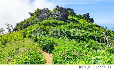 夏の火打山・妙高山登山（妙高山北峰～南峰） 124333913