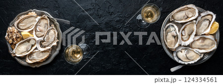 Fresh raw oysters on ice panorama, overhead flat lay shot 124334561