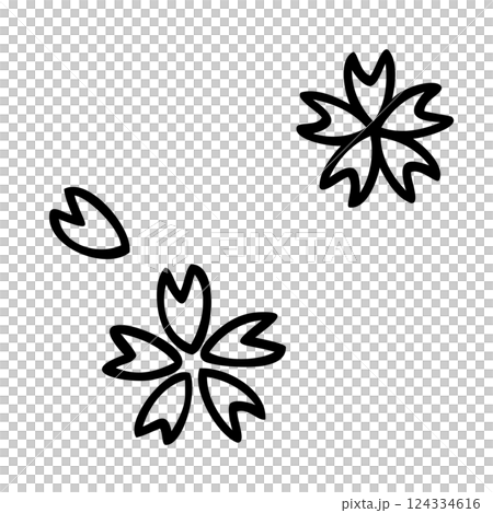 Simple cherry blossom illustration material 124334616