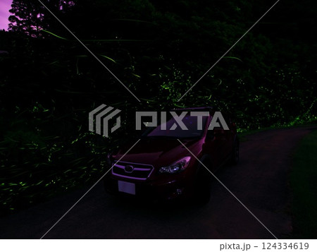 三重県津市一色町 ホタルに囲まれた車 三重県津市一色町 ホタルに囲まれた車 124334619