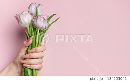Woman hand holding beautiful pink tulips showing manicure nails on pink background 124335041