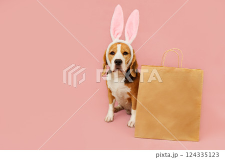 A beagle with large pink bunny ears sits next to a brown shopping bag on a soft pink background A beagle with large pink bunny ears sits next to a brown shopping bag on a soft pink background 124335123