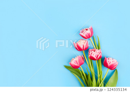 Bouquet of pink tulips on a blue background. Greeting card with copy space. Bouquet of pink tulips on a blue background. Greeting card with copy space. 124335134