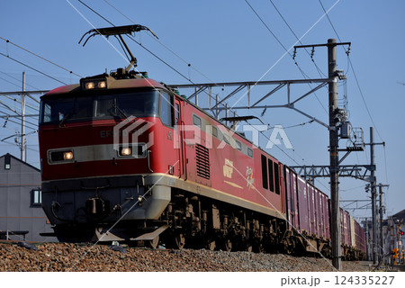 東海道本線を走るEF510-18コンテナ貨物列車 124335227