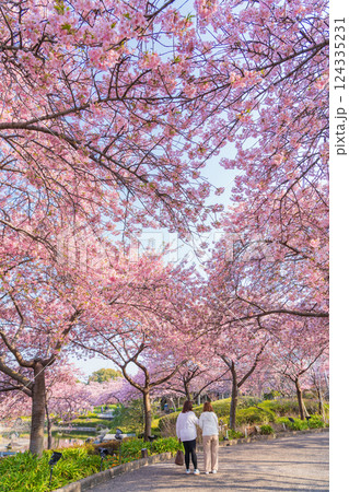春のなばなの里、ハートの河津桜〈三重県桑名市〉 124335231