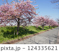 山崎公園河津桜　　　（埼玉県富士見市） 124335621