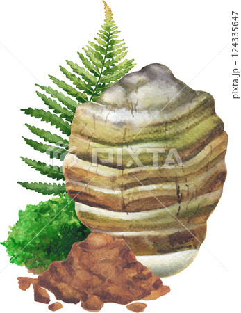 Watercolor Agarikon mushroom surrounded with a moss, fern leaf and powder Watercolor Agarikon mushroom surrounded with a moss, fern leaf and powder 124335647