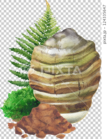 Watercolor Agarikon mushroom surrounded with a moss, fern leaf and powder Watercolor Agarikon mushroom surrounded with a moss, fern leaf and powder 124335647