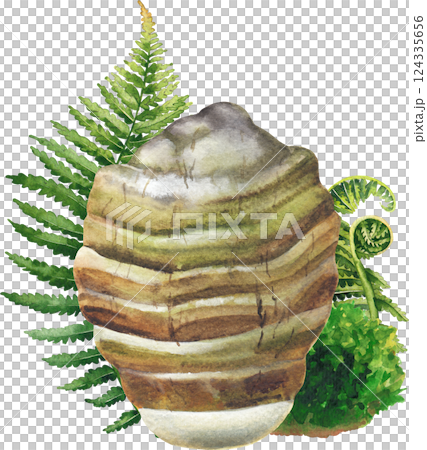 Realistic watercolor Agarikon mushroom decorated with fern leaves and moss Realistic watercolor Agarikon mushroom decorated with fern leaves and moss 124335656