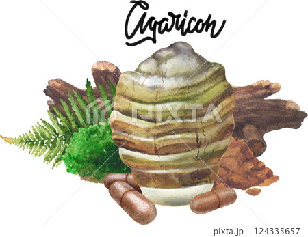 Realistic watercolor Agarikon mushroom surrounded with a log, moss, fern with a pills and powder in front 124335657