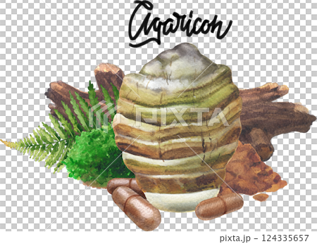 Realistic watercolor Agarikon mushroom surrounded with a log, moss, fern with a pills and powder in front 124335657