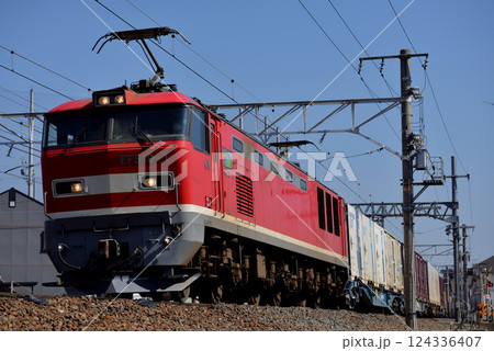 東海道本線を走るEF510-1コンテナ貨物列車 124336407