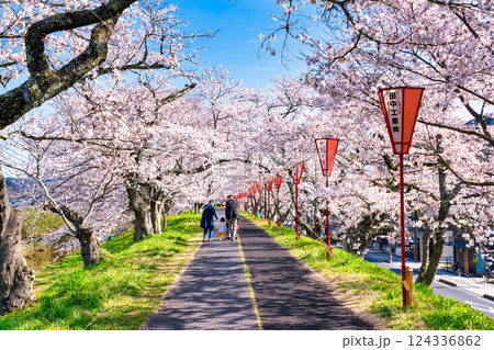 〈島根県〉斐伊川堤防　満開の桜並木を歩く人 124336862