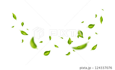 Green flying leaves on long white banner. Leaf falling. Wave foliage ornament. Vegan, eco, organic design element. Cosmetic pattern border. Fresh tea background. Beauty product. Vector illustration 124337076
