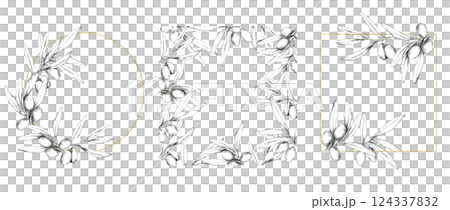 A set of pencil-drawn olive branch frames with circular and square compositions, featuring gold accents. Versatile for Mediterranean food, oils, skincare products and customized merchandise designs 124337832