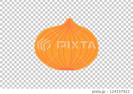 Illustration of onion Illustration of onion 124337922