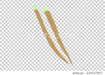 ゴボウのイラスト ゴボウのイラスト 124337957
