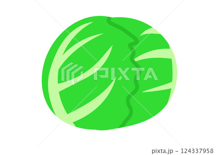 キャベツのイラスト 124337958