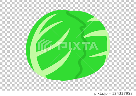 キャベツのイラスト 124337958