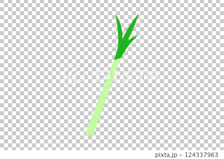 Illustration of green onion Illustration of green onion 124337963