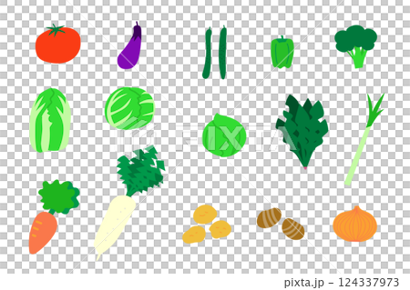 日本の指定野菜15品目のイラストセット 124337973