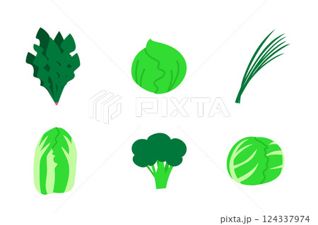 葉物野菜のイラストセット 124337974