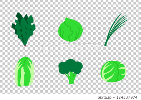 葉物野菜のイラストセット 124337974