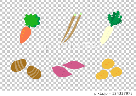根菜のイラストセット 124337975