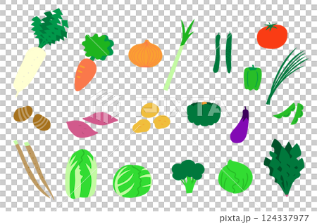 いろいろな野菜のイラストセット 124337977