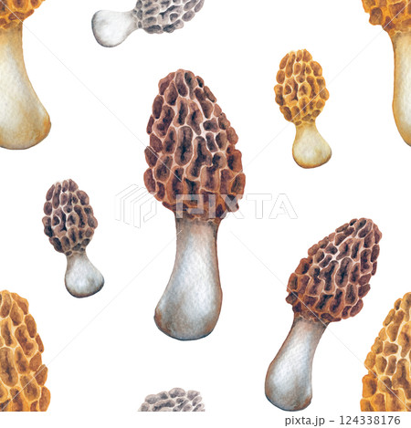 Seamless pattern of realistic watercolor Yellow Morrel mushrooms Seamless pattern of realistic watercolor Yellow Morrel mushrooms 124338176