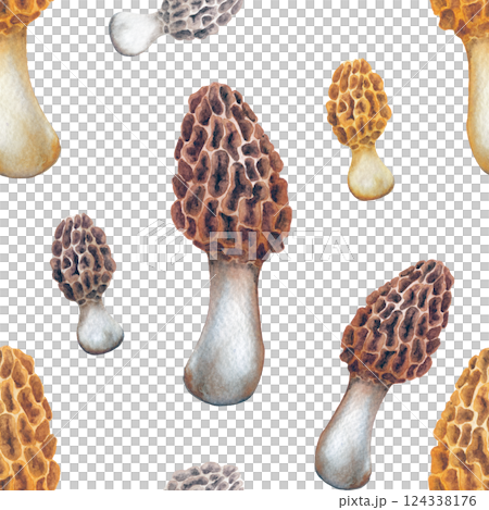 Seamless pattern of realistic watercolor Yellow Morrel mushrooms Seamless pattern of realistic watercolor Yellow Morrel mushrooms 124338176