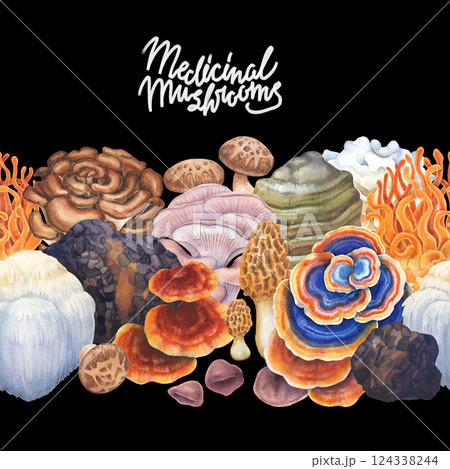 Watercolor seamless border of a various medicinal mushrooms 124338244